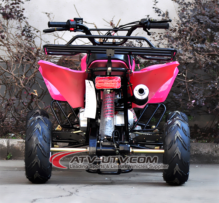 Hot Selling CE Approved Gas-Powered 50CC 4-Stroke Engine ATV